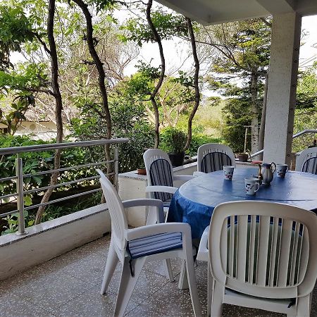 Apartments Monica نوفاليا المظهر الخارجي الصورة